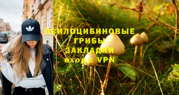 кокс Абаза