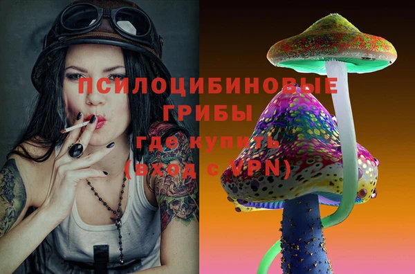 кокс Абаза