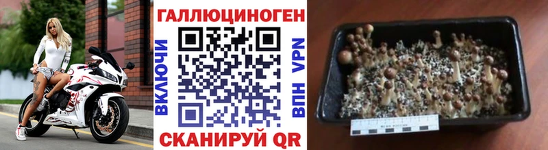 Галлюциногенные грибы MAGIC MUSHROOMS Красновишерск