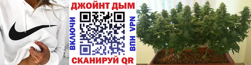 Канабис ГИДРОПОН  где можно купить   Красновишерск 